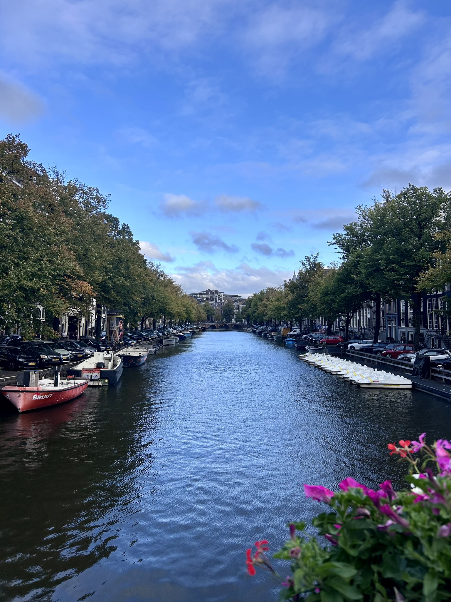 Europe Solo Trip 2025 — Amsterdam, Netherlands photo 33