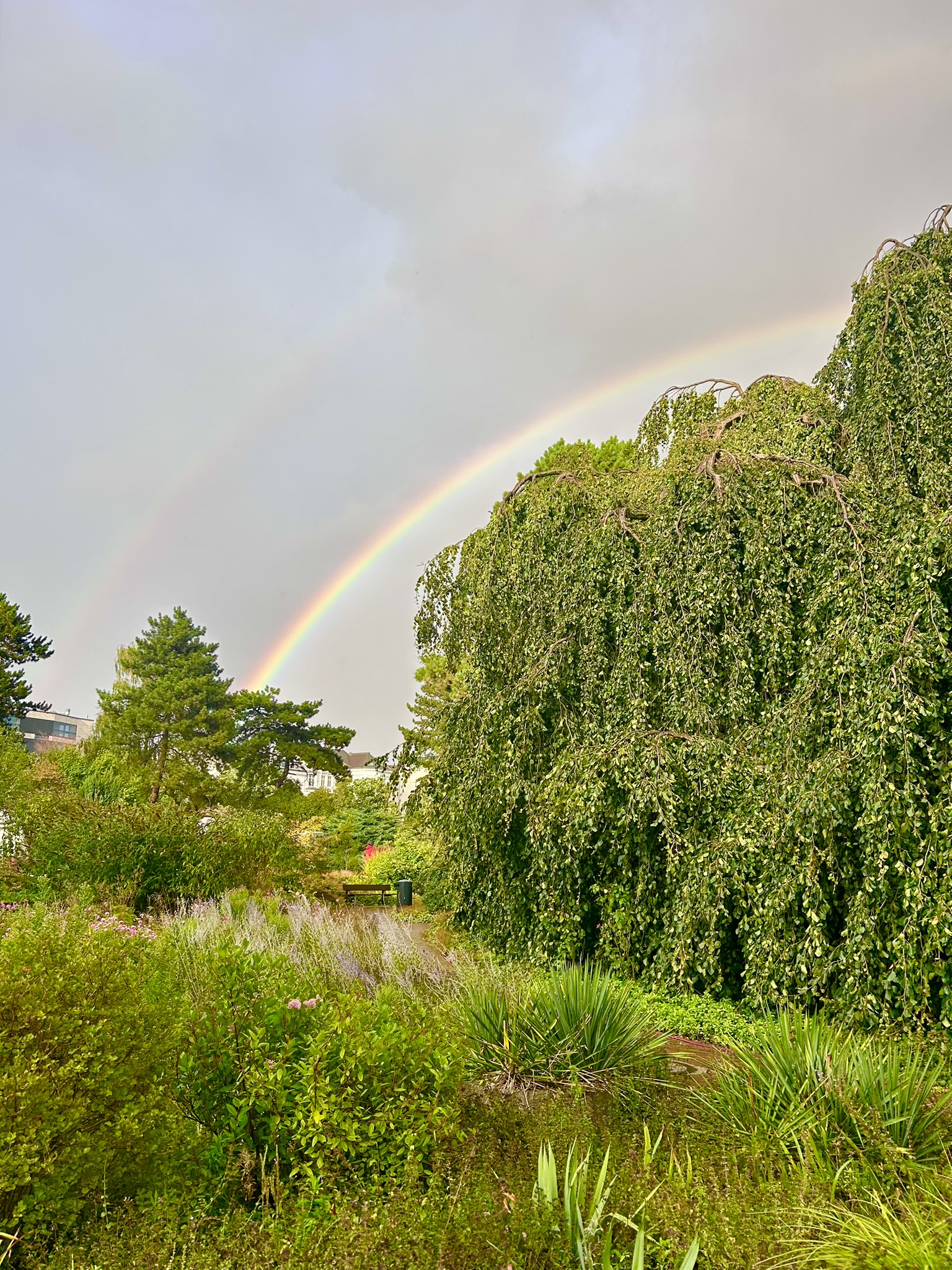 Europe Solo Trip 2025 — Hamburg, Germany photo 9