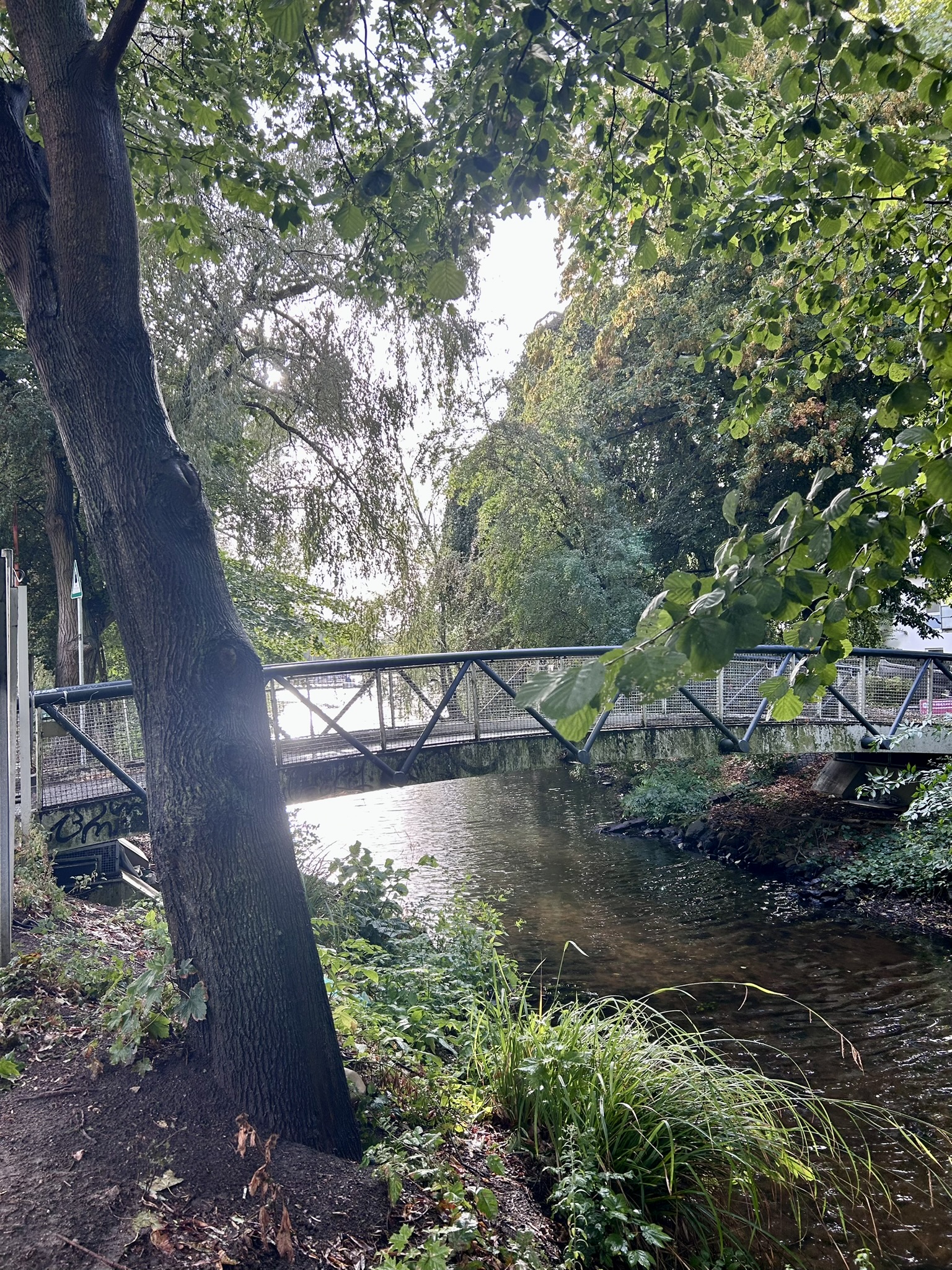 Europe Solo Trip 2025 — Hamburg, Germany photo 19