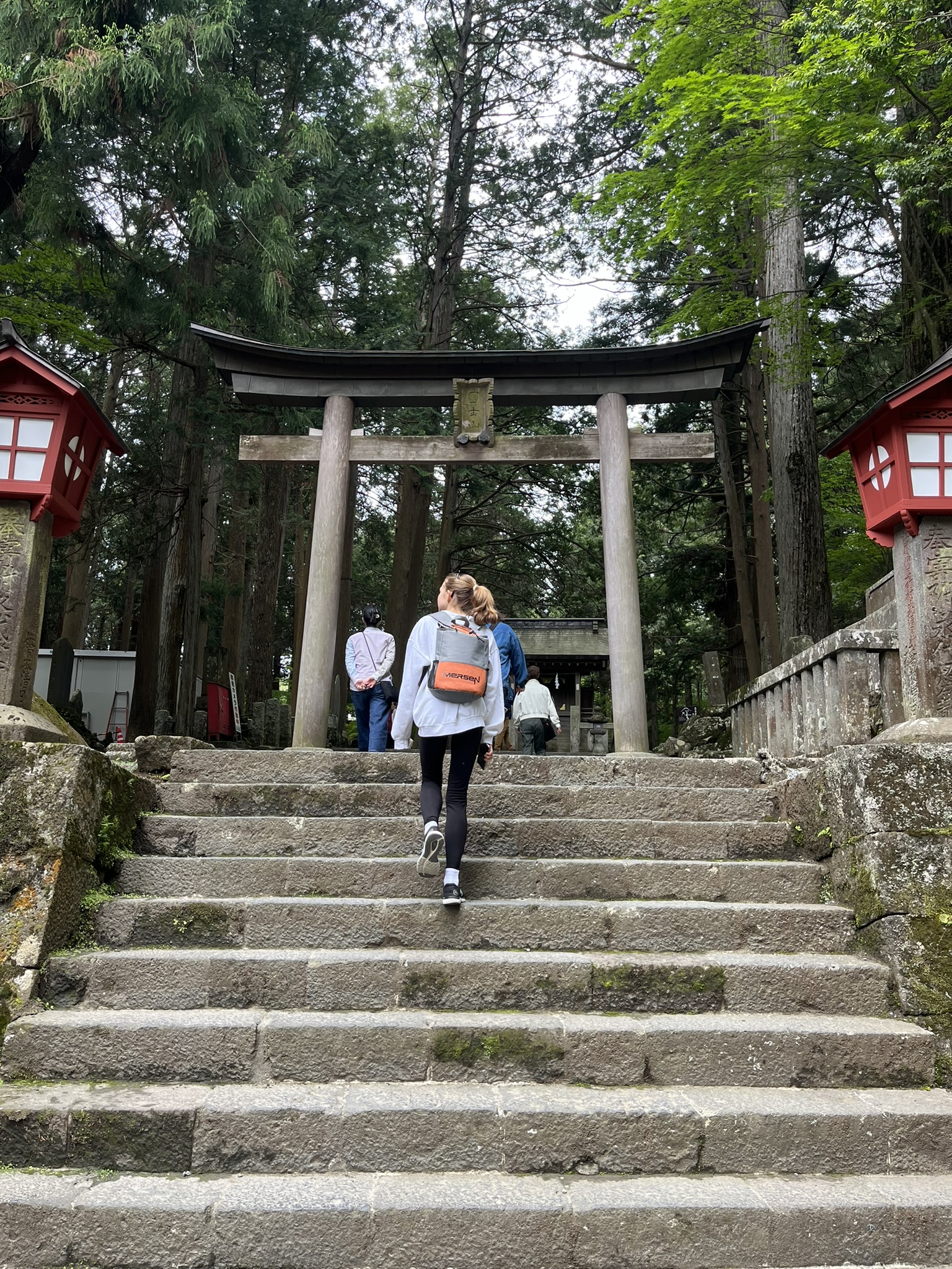 Japan — Mt. Fuji photo 23