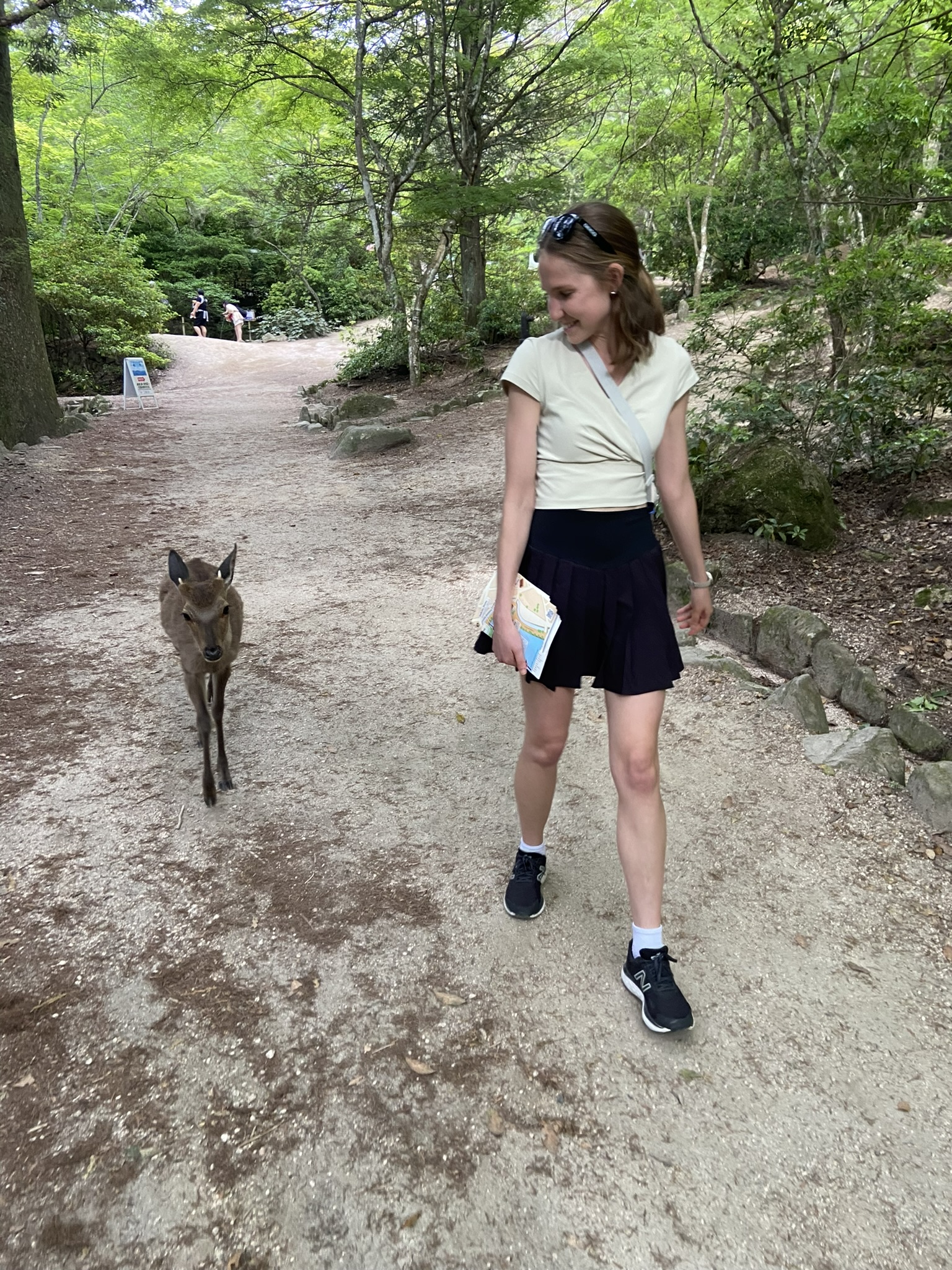 Japan — Miyajima photo 16