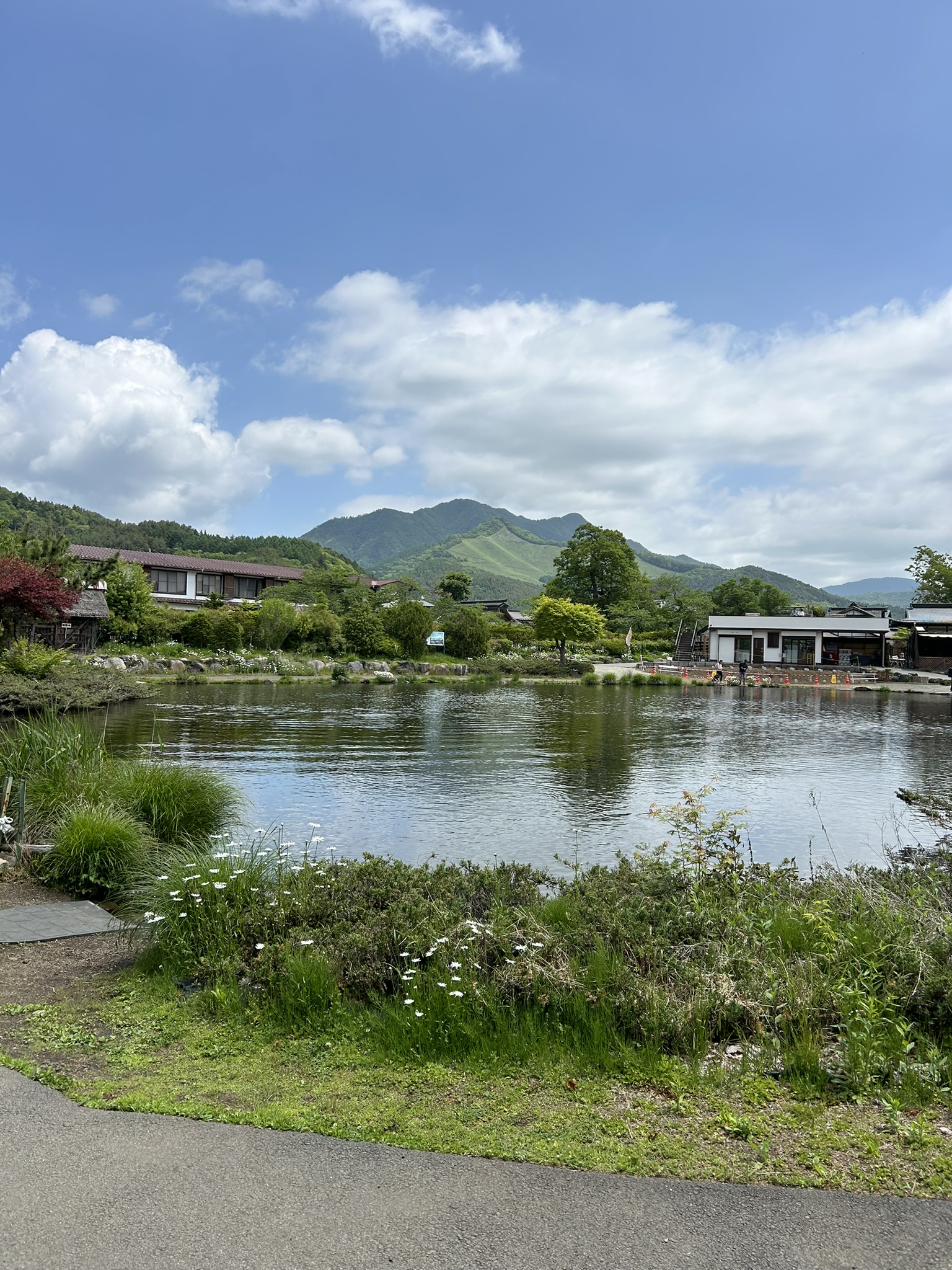 Japan — Mt. Fuji photo 21
