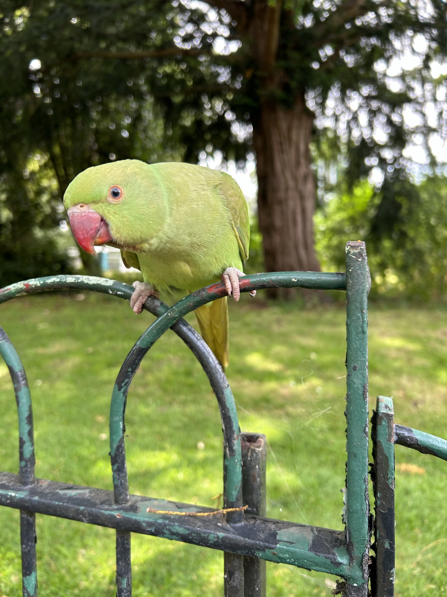 UK — London photo 4