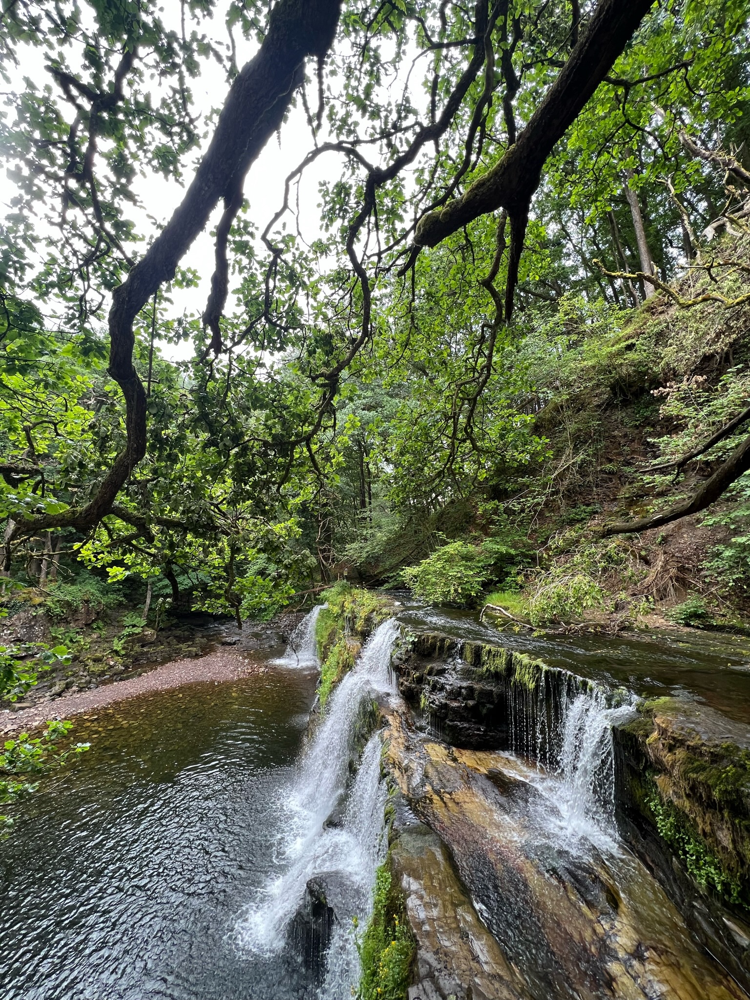 UK — Wales photo 16