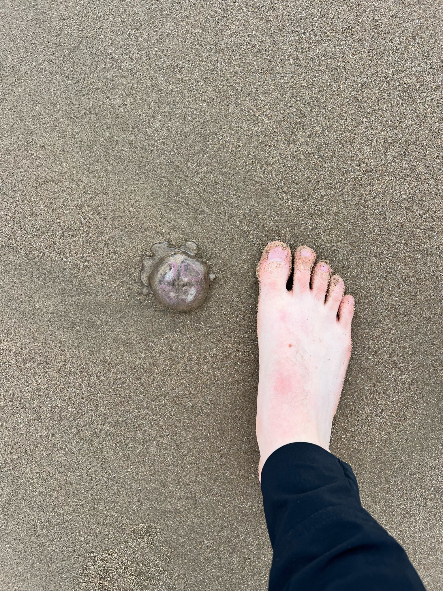 UK — Wales photo 20