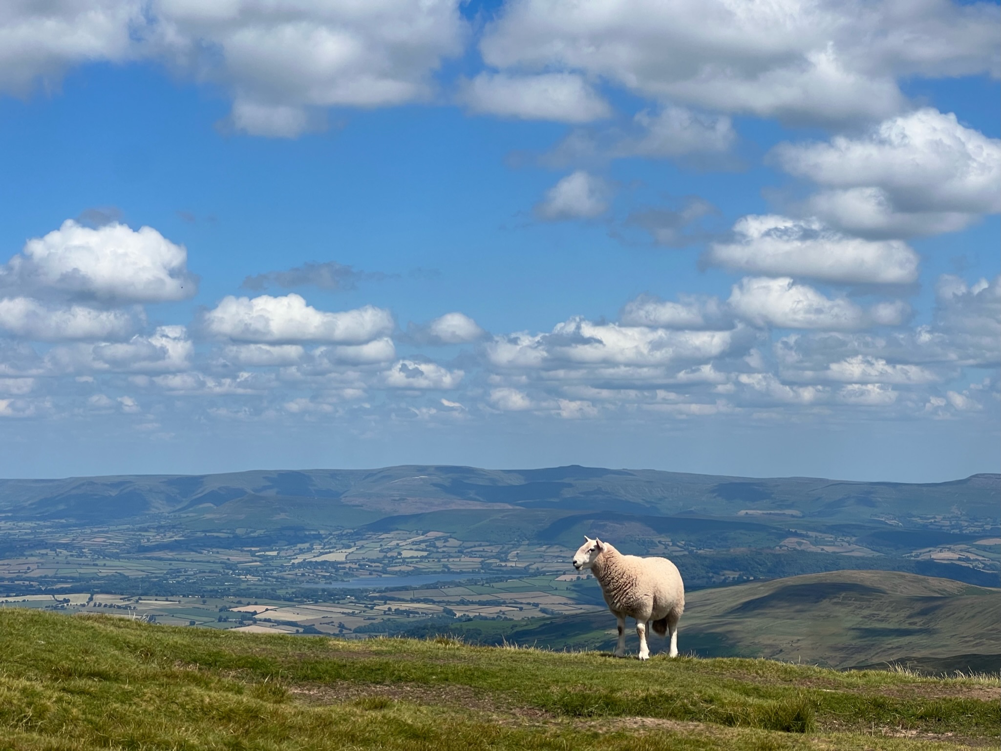 UK — Wales photo 26