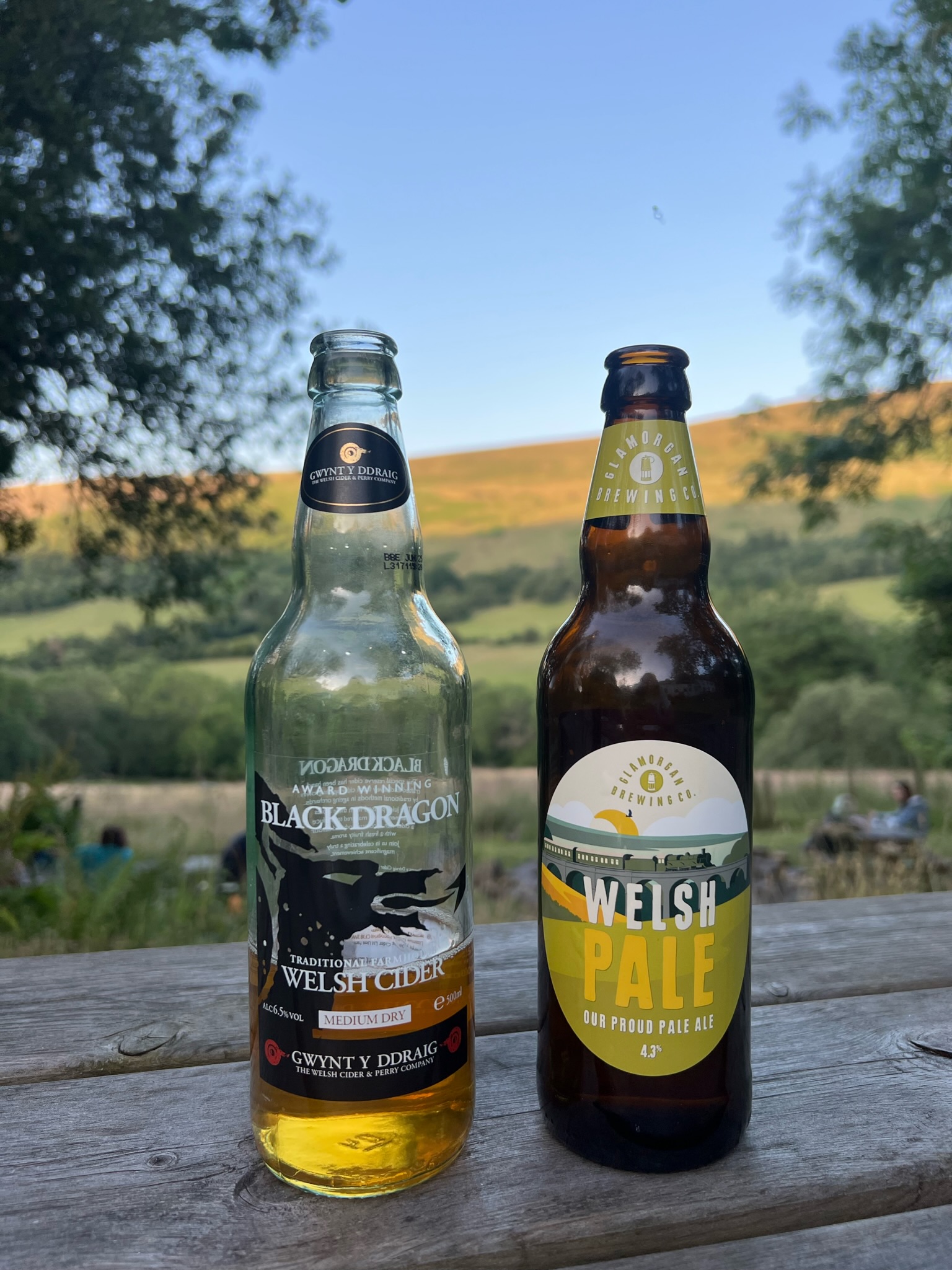 UK — Wales photo 37